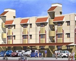 Flat promoters in Pallikaranai